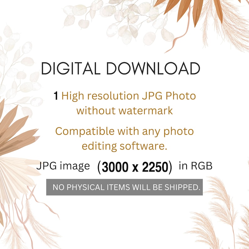 May include: Digital download of a high-resolution JPG photo of dried pampas grass and eucalyptus branches. The image is 3000 pixels wide by 2250 pixels tall and is compatible with any photo editing software.