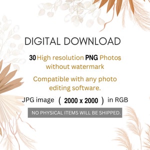 May include: Digital download of 30 high-resolution PNG photos of dried pampas grass and eucalyptus branches. The images are 2000 x 2000 pixels and are compatible with any photo editing software.