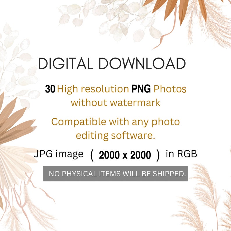 May include: Digital download of 30 high-resolution PNG photos of dried pampas grass and eucalyptus branches. The images are 2000 x 2000 pixels and are compatible with any photo editing software.