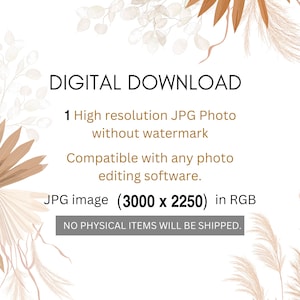 May include: Digital download graphic with text: "DIGITAL DOWNLOAD", "1 High resolution JPG Photo without watermark", and "Compatible with any photo editing software." The image is 3000 x 2250 pixels in RGB. Decorative floral elements frame the text.