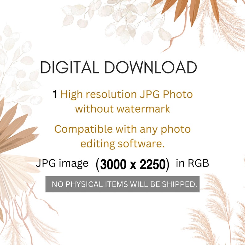 May include: Digital download graphic with text: "DIGITAL DOWNLOAD", "1 High resolution JPG Photo without watermark", and "Compatible with any photo editing software." The image is 3000 x 2250 pixels in RGB. Decorative floral elements frame the text.