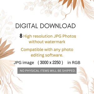 Pode incluir: Download digital de 8 fotos JPG de alta resolu&ccedil;&atilde;o de capim-das-pampas seco e galhos de eucalipto em tons bege e marrom. As imagens s&atilde;o de 3000 x 2250 pixels e compat&iacute;veis com qualquer software de edi&ccedil;&atilde;o de fotos. Nenhum item f&iacute;sico ser&aacute; enviado.
