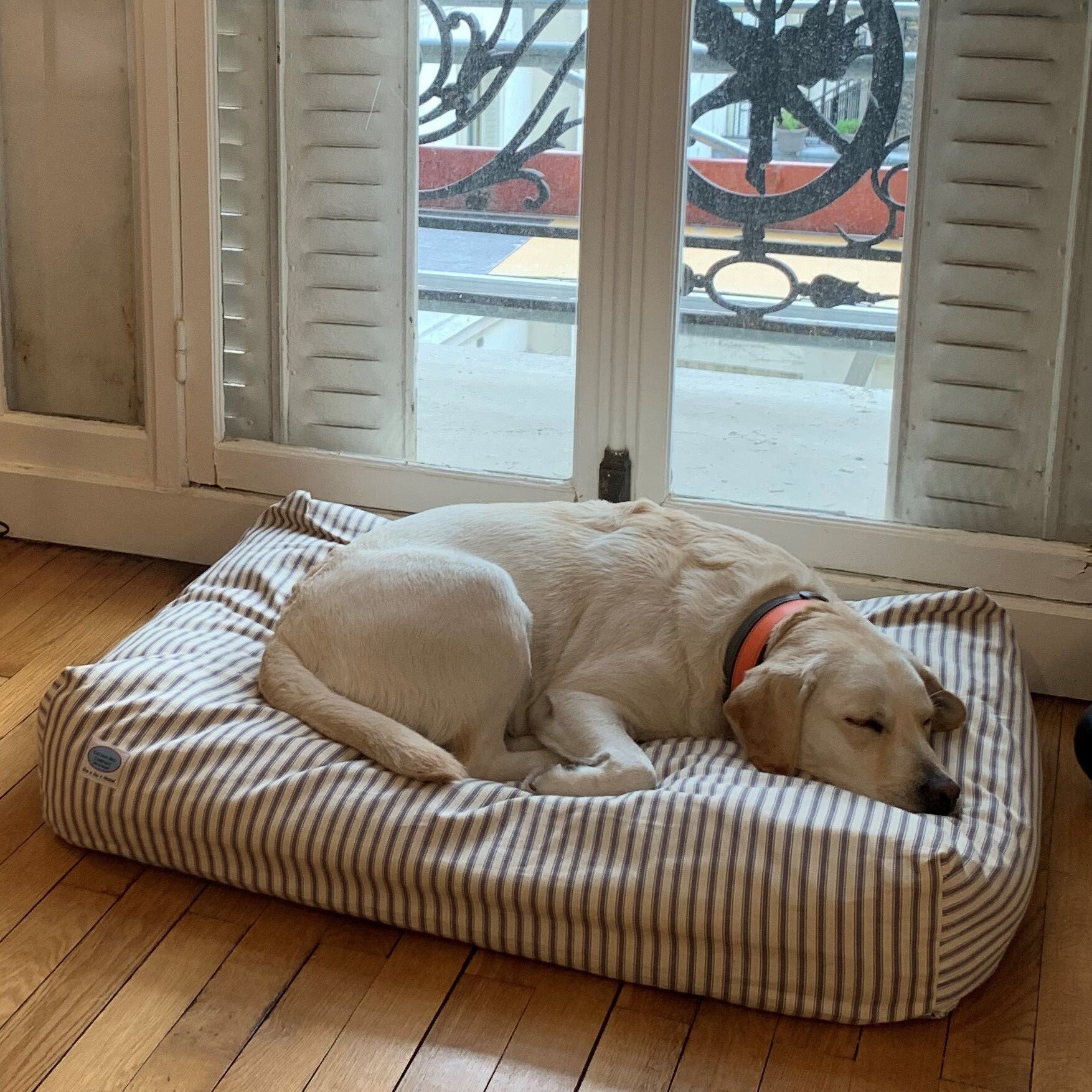 The Dog Bed Company Luxurious Deep Filled Mattress Etsy