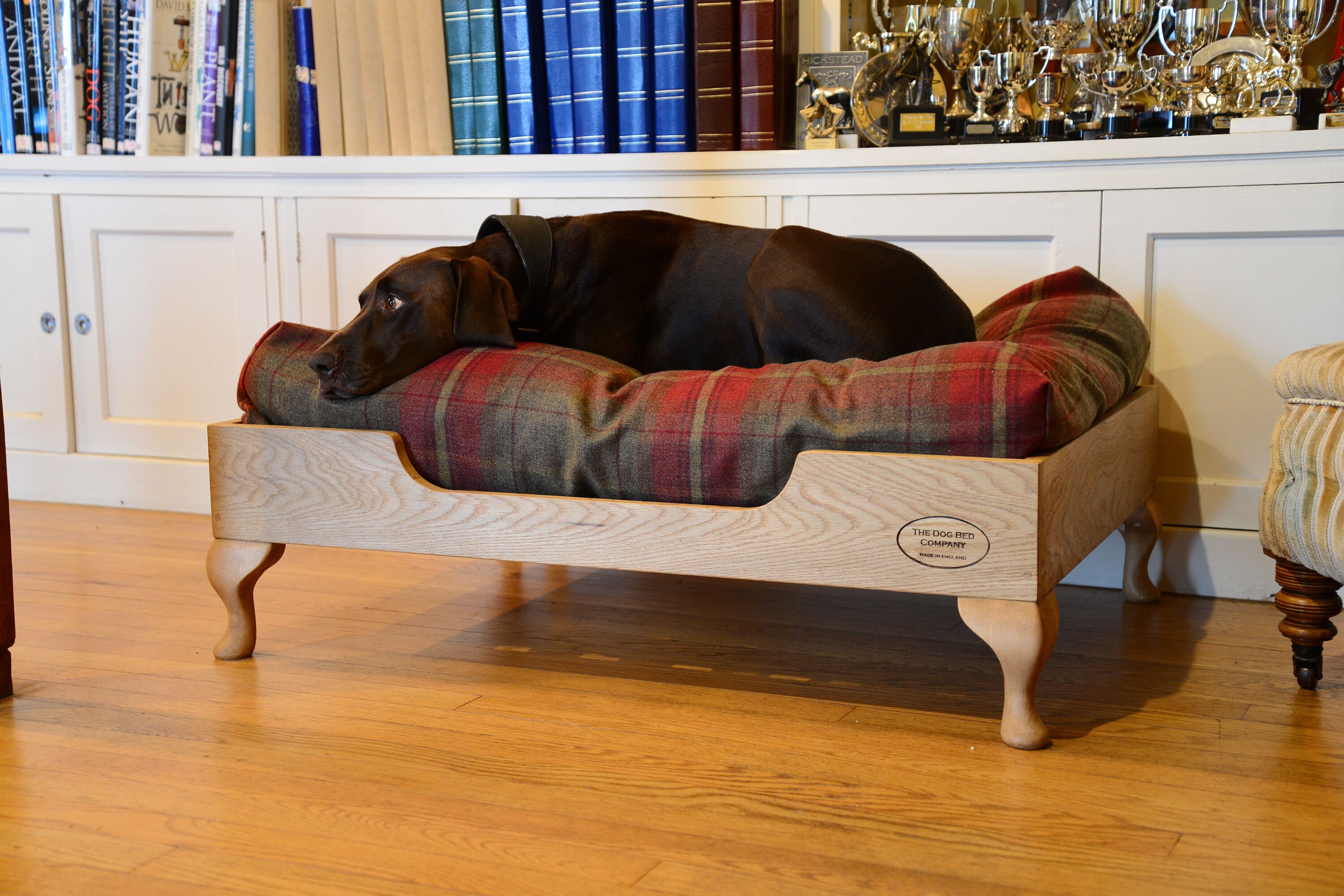 The Dog Bed Company Luxurious Deep Filled Mattress Etsy