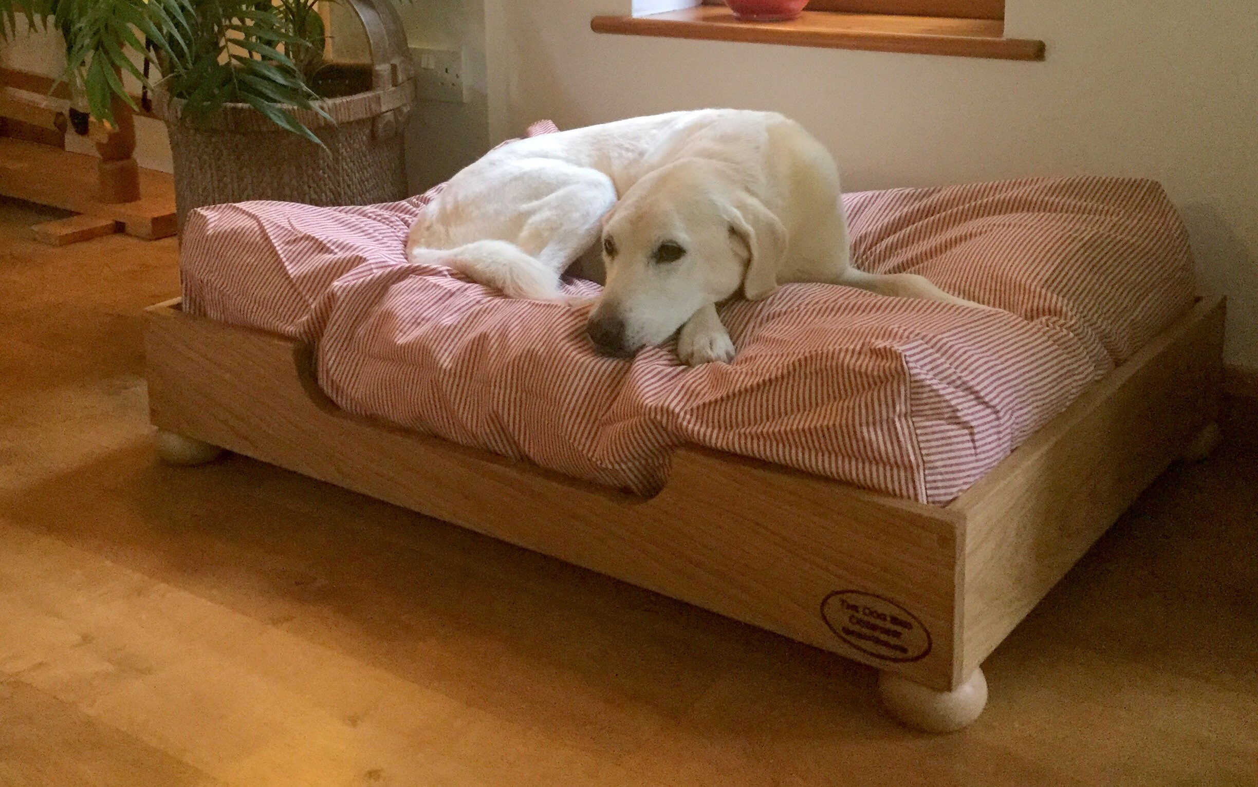 The Dog Bed Company Luxurious Deep Filled Mattress Etsy