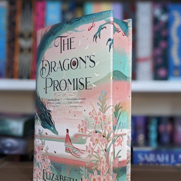 The Dragon's Promise by Elizabeth Lim custom stencil sprayed hand painted edge books gift special edition