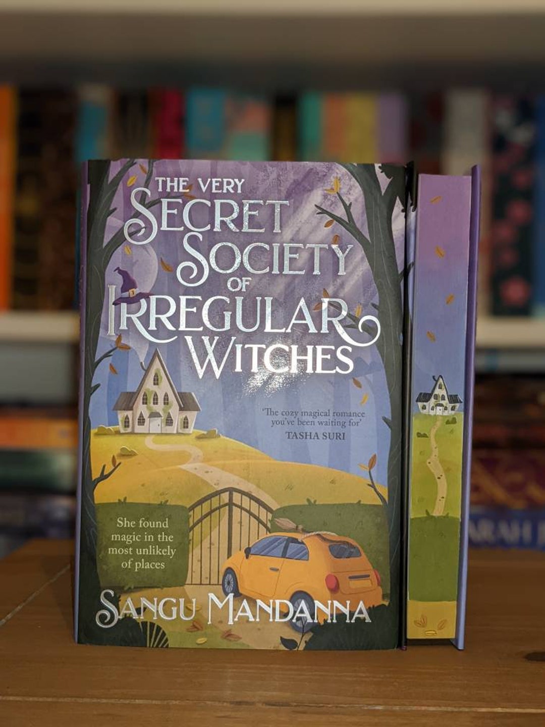 The Very Secret Society of Irregular Witches by Sangu Mandanna