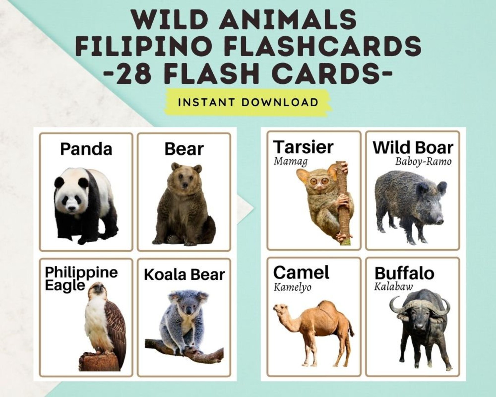 Wild Animals 28 Cards Flashcards Tagalog Flashcards With English