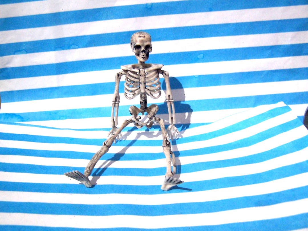 Miniature, Skeleton, 12th Scale, Female, Bones, Hospital, Cemetery ...
