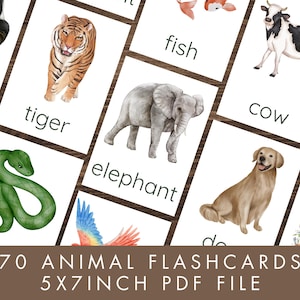 70 Animal Flashcards, PDF Printable cards, Preschool Learning Flashcards, Toddler early learning resource, Printable homeschool activity.