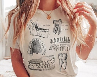 Dental Anatomy Shirt, Dentist Assistant T-Shirt, Teeth Tooth Anatomy Sketch, Dental Hygienist Student Gift, Dental Team, Skeleton Academia
