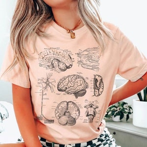 May include: A pink t-shirt featuring a vintage anatomical illustration of the brain and nervous system. The illustration is in black and white and shows various views of the brain.