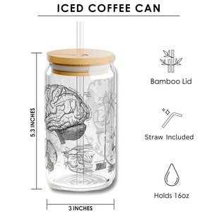 May include: A clear glass iced coffee can with a bamboo lid and a straw. The can features a vintage anatomical illustration of the brain and nervous system. It holds 16 ounces and measures 5.3 inches tall and 3 inches wide.