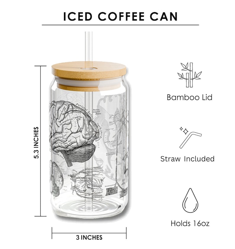 May include: A clear glass iced coffee can with a bamboo lid and a straw. The can features a vintage anatomical illustration of the brain and nervous system. It holds 16 ounces and measures 5.3 inches tall and 3 inches wide.