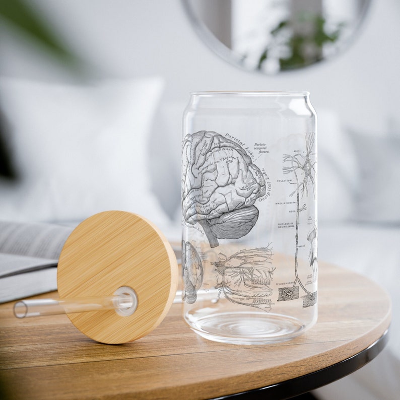 May include: A clear glass drinking bottle with a bamboo lid and a straw. The bottle has a black and white anatomical illustration of the brain and nervous system.