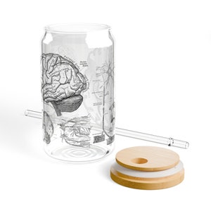 May include: A clear glass can with a black and white anatomical illustration of a brain and nervous system. The can has a bamboo lid with a hole for a straw. The straw is clear glass.