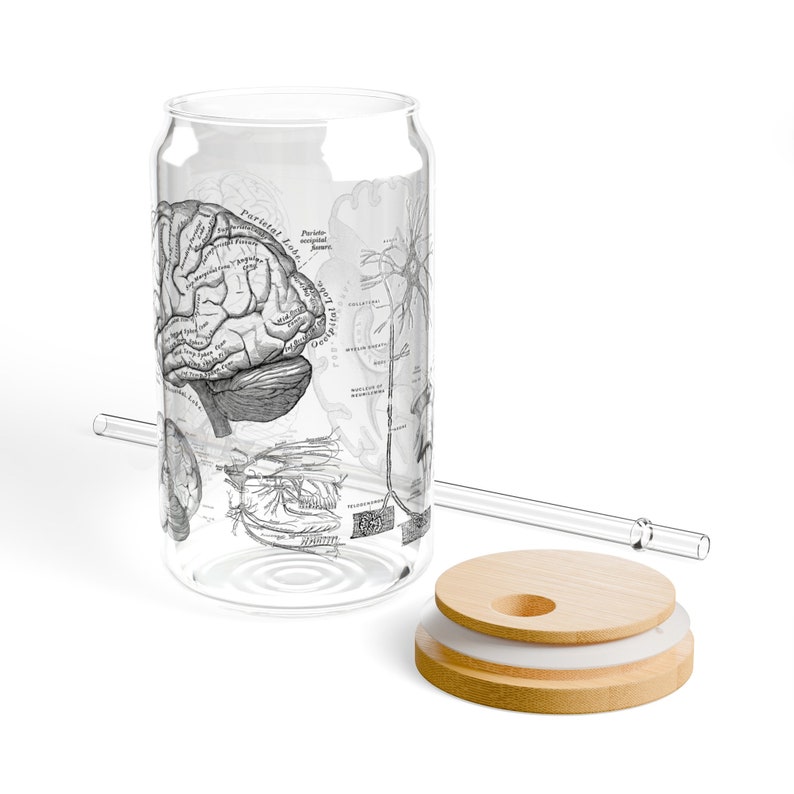 May include: A clear glass can with a black and white anatomical illustration of a brain and nervous system. The can has a bamboo lid with a hole for a straw. The straw is clear glass.