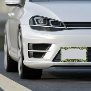 Lando Norris F1 License Plate Frame: Green and black pattern, Aluminum. 
Frame is on the front of a white silver car.