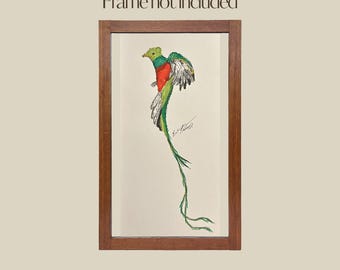 Hand Drawn Quetzal Prints