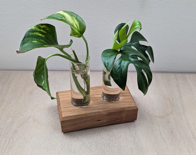 Propagation Station / Tischvase - Eichenfuß, Glas-Pflanzröhrchen / Geschenk für Plantlover / Urban Jungle, Pflanzen selbst vermehren