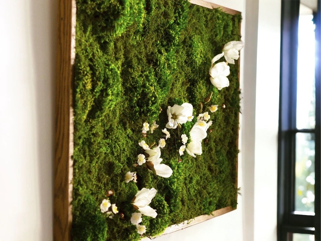 Small moss art gift, Miniature moss decor, Tiny moss wall art, Botanical  gift, frame nature-inspired, idea for nature and plant enthusiasts