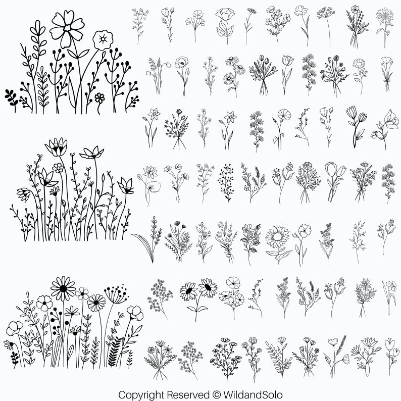 May include: A set of 60 black and white line drawings of various flowers and plants. The drawings are simple and elegant, and would be perfect for use in a variety of creative projects.