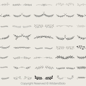 40 Floral Divider svg, dekoracyjne obramowania, Floral Divider svgs, Text Divider svg, Floral Frame svg, Leaf Divider svg, dekoracyjne obramowania svg