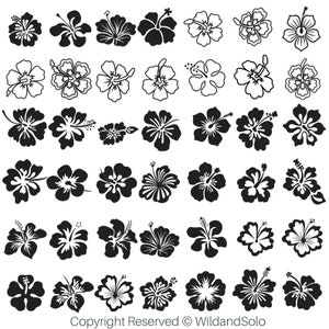 80 Flower Svg Bundle, Hawaiian Flower Svg, Flower Svg, Hawaii Hibiscus ...