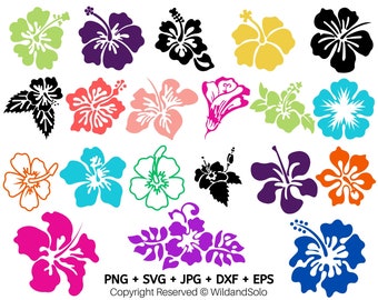 Paquete de 20 flores de hibisco hawaianas SVG, imágenes prediseñadas de flores, flores hawaianas SVG, flores tropicales SVG, archivos de corte Cricut, silueta, flores PNG