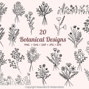 Blumenstrauß svg, botanische svg, Strauß svg, Blumen svg, Blumenstrauß svg, Feldpflanze svg, Blumen svg png handgezeichnet, Wildblumen svg