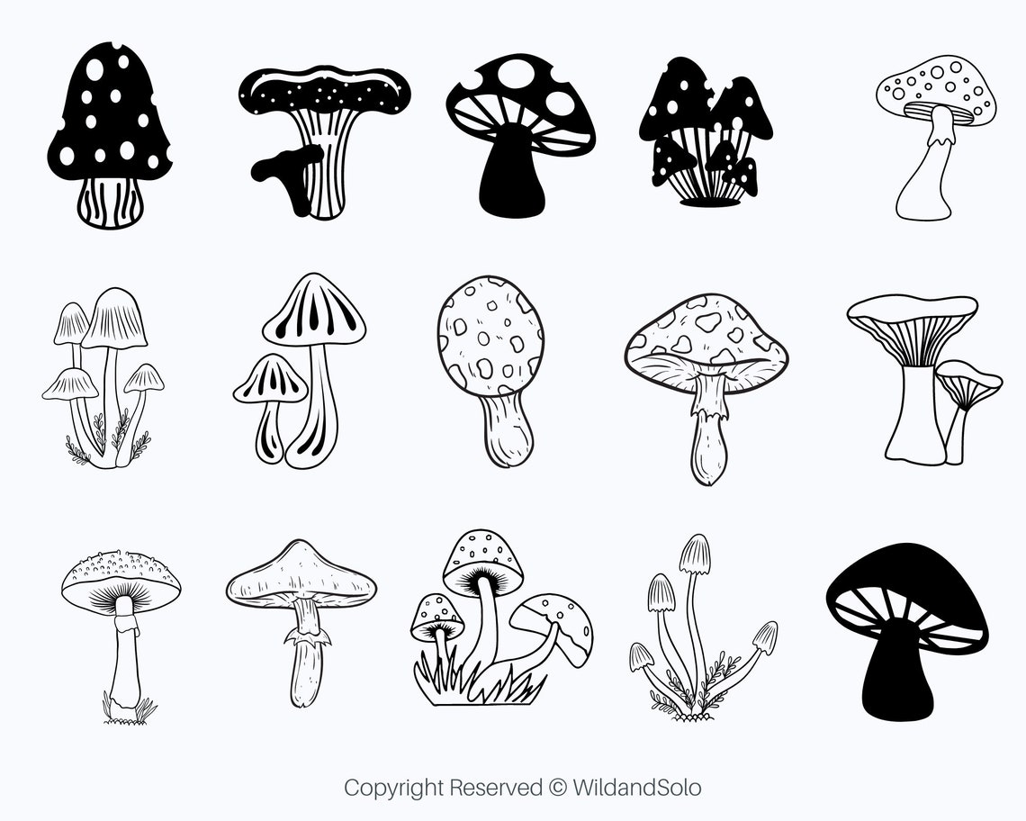 Mushroom Svg Cute Mushrooms Svg Floral Mushrooms Svg Magic Etsy