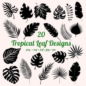 Tropisches Laubblatt, Tropisches Laub Blatt, Tropisches party Dekor, Palmenblatt, Palmenzweig Blatt, Monstera Blatt Blatt Clipart, Dschungel Blatt Clipart