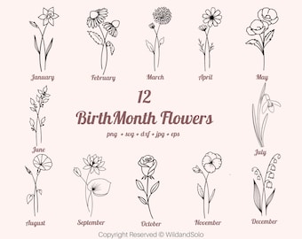 Pacote de SVGs para Aniversário | SVG de Flores Silvestres | SVG de Flor de Nascimento | SVG Floral | SVG de Rosa | SVG Botânico | SVG de Margarida | SVG de Papoula | SVG de Aniversário