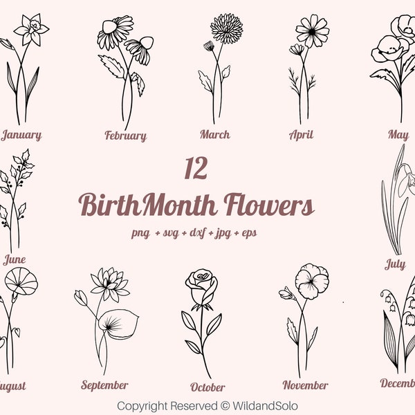 BirthMonth Svg Bundle | Wild Flower Svg | Birth Flower Svg | Floral svg | Rose svg | Botanical svg | Daisy svg | Poppy svg | Birthday svg