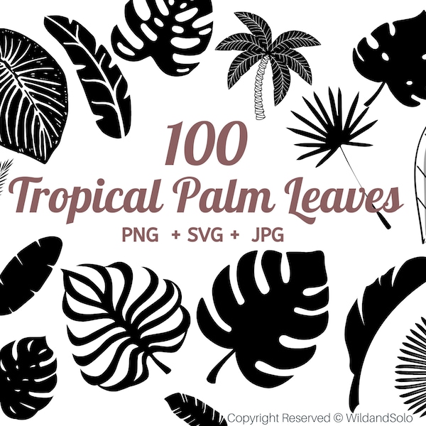 Tropical palm leaf svg, palm branch svg, palm leaf svg, Tropical leaves svg, tropical party decor, monstera leaf svg clipart By Solo Wild