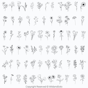 May include: A collection of 50 black and white line drawings of various flowers and plants. The drawings are simple and elegant, and they would be perfect for use in a variety of creative projects.