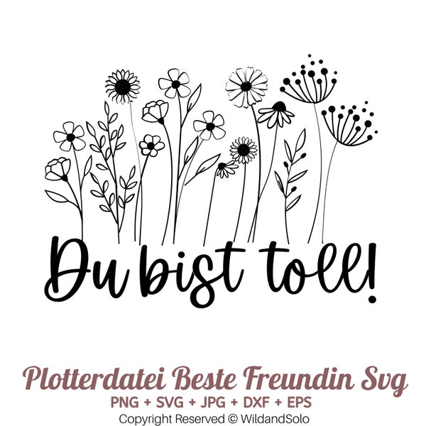 Du Bist toll Plotterdatei Svg ,Plotterdatei Beste Freundin SVG, Beste Freunde Svg Bundle, Freundschaft SVG, Schwerster SVG, Friends svg