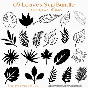 May include: A set of 65 black and white hand-drawn leaf SVG designs. The leaves are in various shapes and sizes, including palm leaves, maple leaves, and oak leaves. The text "65 Leaves Svg Bundle" and "Hand Drawn Designs" is at the top of the image. The text "PNG | SVG | JPG | DXF | EPS" is at the bottom left of the image. The text "Copyright Reserved © WildandSolo" is at the bottom right of the image.