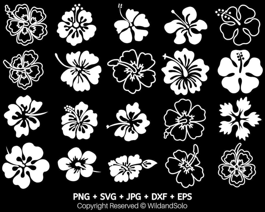 20 Hawaii Hibiscus Flower Svg Bundle, Tropical Flower Svg, Flowers ...