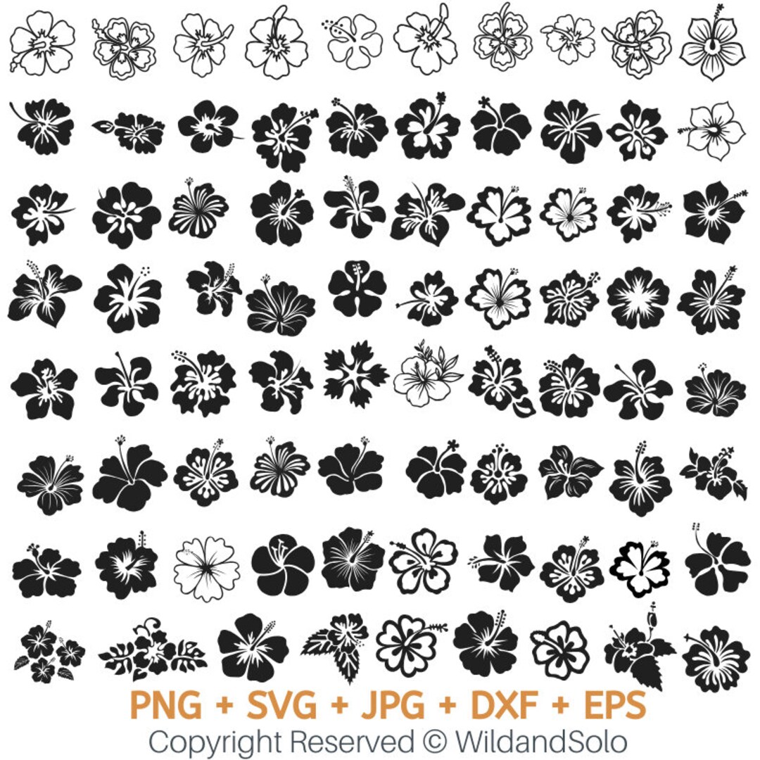 80 Hawaii Hibiscus Flower Svg Bundle, Tropical Flower Svg, Cricut Cut ...
