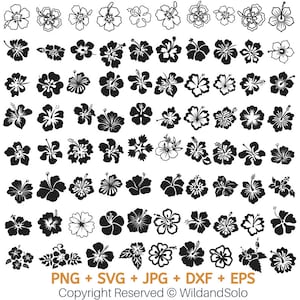 80 Hawaii Hibiskus Blume svg Bündel, Tropische Blume svg, Cricut Cut Dateien, Blumen Clipart, hawaiianische Blume svg, Silhouette, Blumen Png