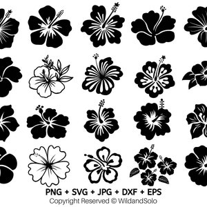 20 Hawaii Hibiskus Blume svg Bundle, Tropische Blume svg, Cricut Cut Dateien, Blumen Clipart, hawaiianische Blume svg, Silhouette, Blumen Png