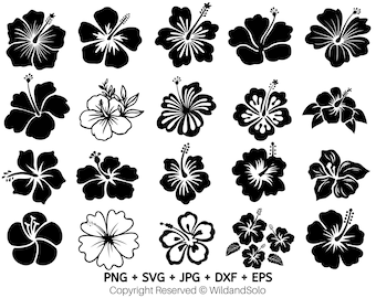 Paquete de 20 flores de hibisco hawaianas SVG, flores tropicales SVG, archivos de corte Cricut, imágenes prediseñadas de flores, flores hawaianas SVG, silueta, flores PNG