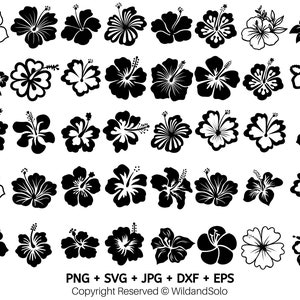 40 Hawaii Hibiskus Blume svg Bündel, Tropische Blume svg, Blumen Clipart, hawaiianische Blume svg, Cricut Cut Files, Silhouette, Blumen Png