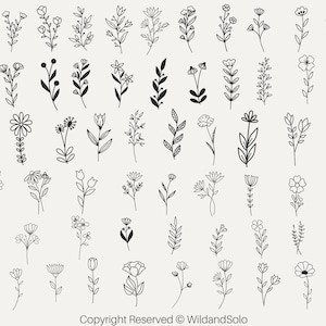 60 flores silvestres svg, pacote, floral svg, esboço de flores svg, flores de nascimento, buquê minimalista svg, plantas de campo botânico, flores svg, desenhado à mão,