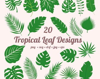 Tropical leaves svg, Hibiscus svg, Tropical leaf svg, tropical party decor, monstera leaf svg, jungle leaves clipart, palm branch svg