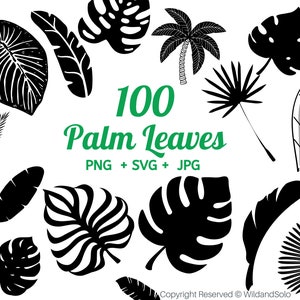 Tropisches Palmenblatt svg, tropisches party Dekor, Palmenblatt svg, Tropische Blätter svg, Monstera Blatt svg Clipart, Dschungelblätter Clipart