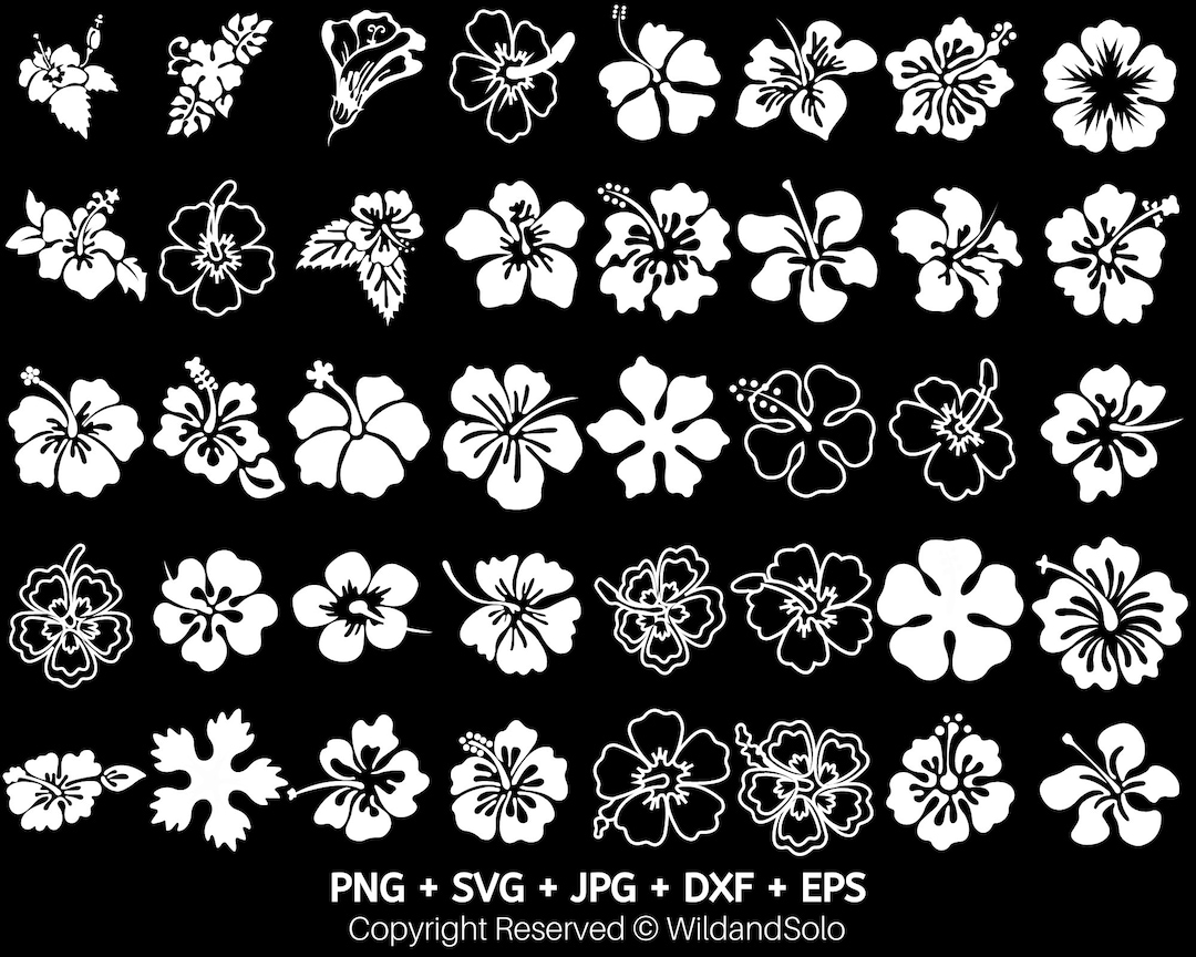 40 Hawaii Hibiscus Flower Svg Bundle, Hawaiian Flower Svg, Tropical ...
