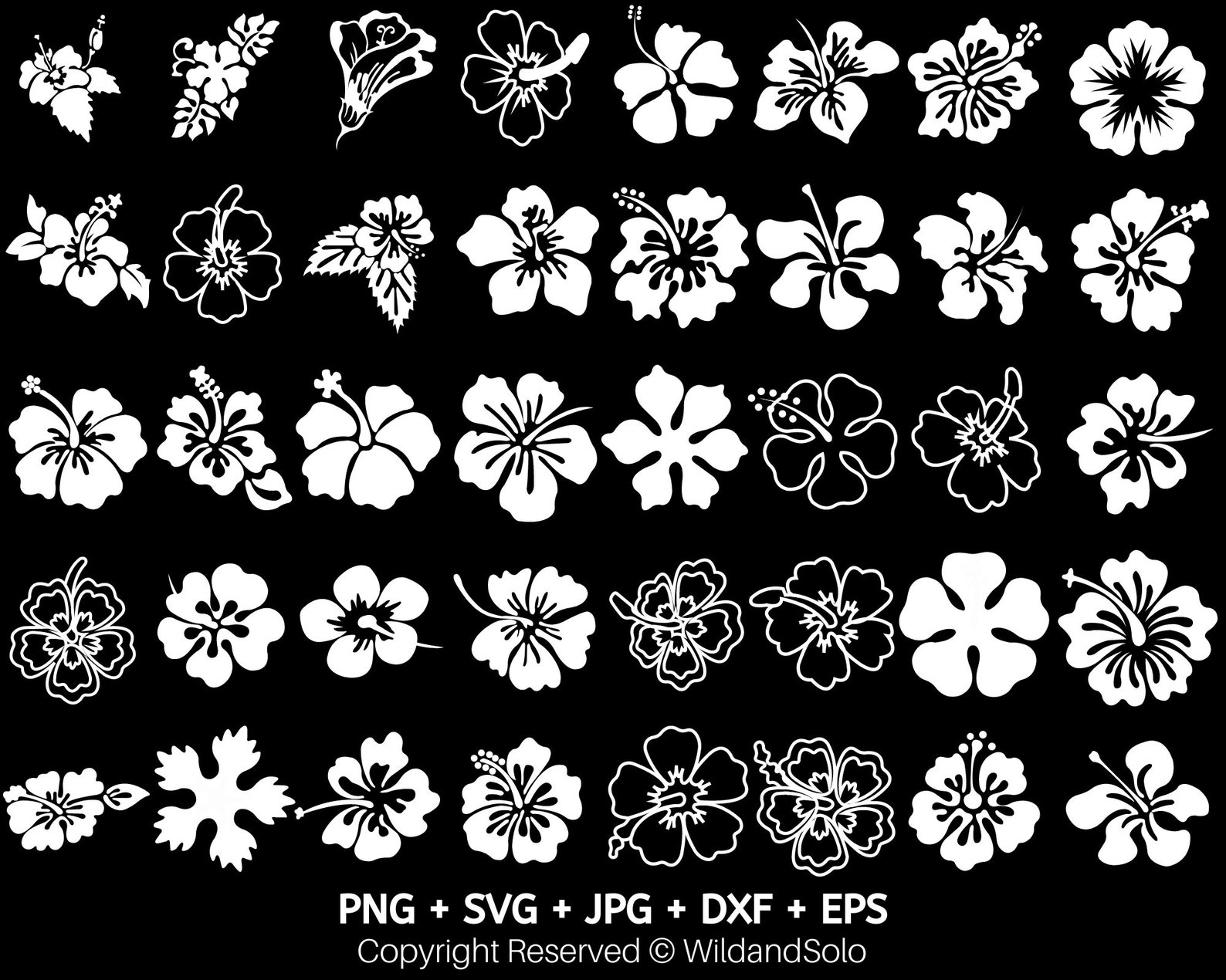 40 Hawaii Hibiscus Flower Svg Bundle, Hawaiian Flower Svg, Tropical ...