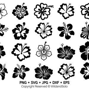 20 Hawaii Hibiskus Blume svg Bundle, Hawaiische Blume svg, Blumen Clipart, tropische Blume svg, Cricut Cut Files, Silhouette, Blumen Png
